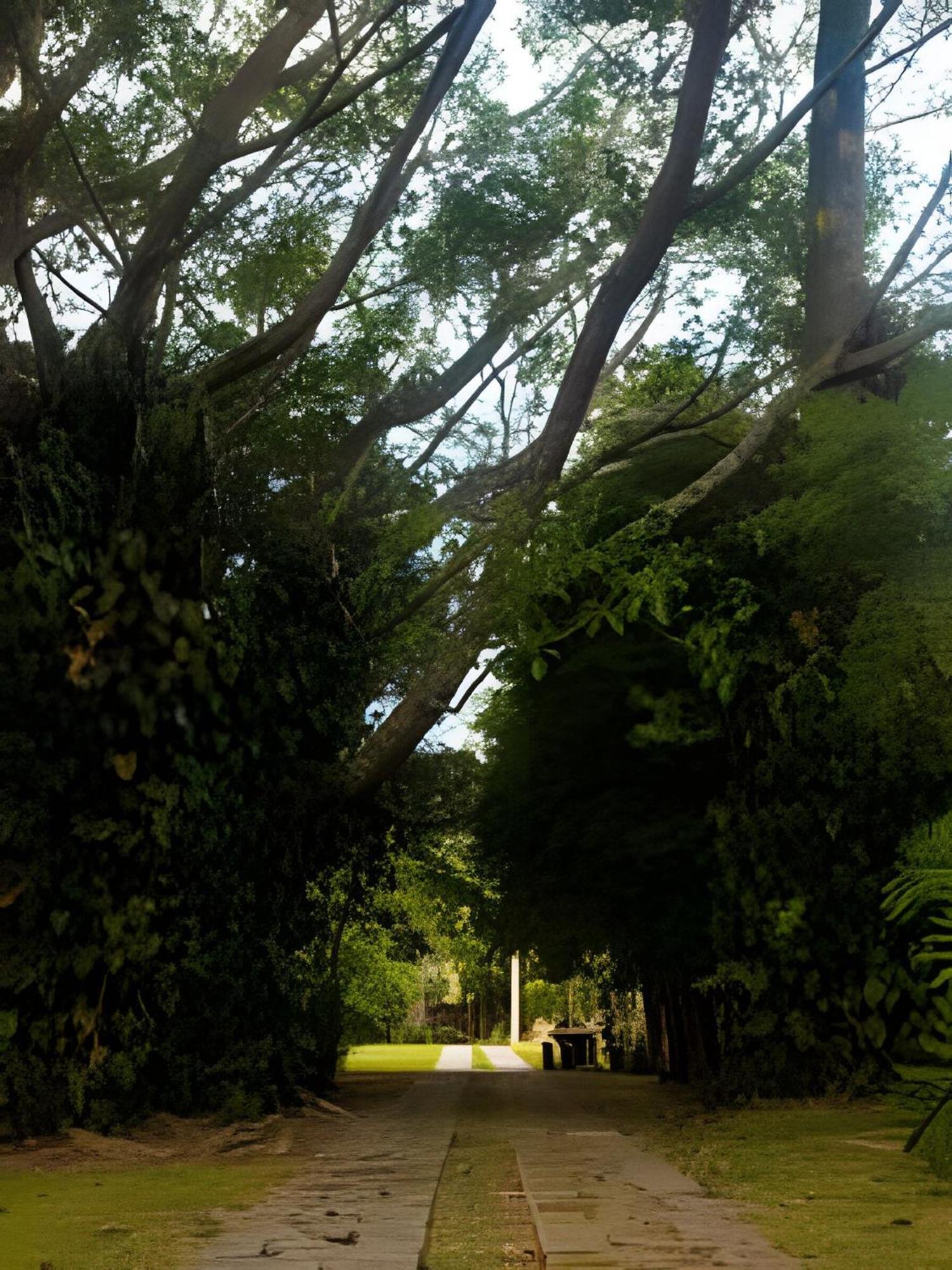 Sitio Em Sao Roque, Paraiso Ao Lado De Sao Paulo! Villa Exterior foto