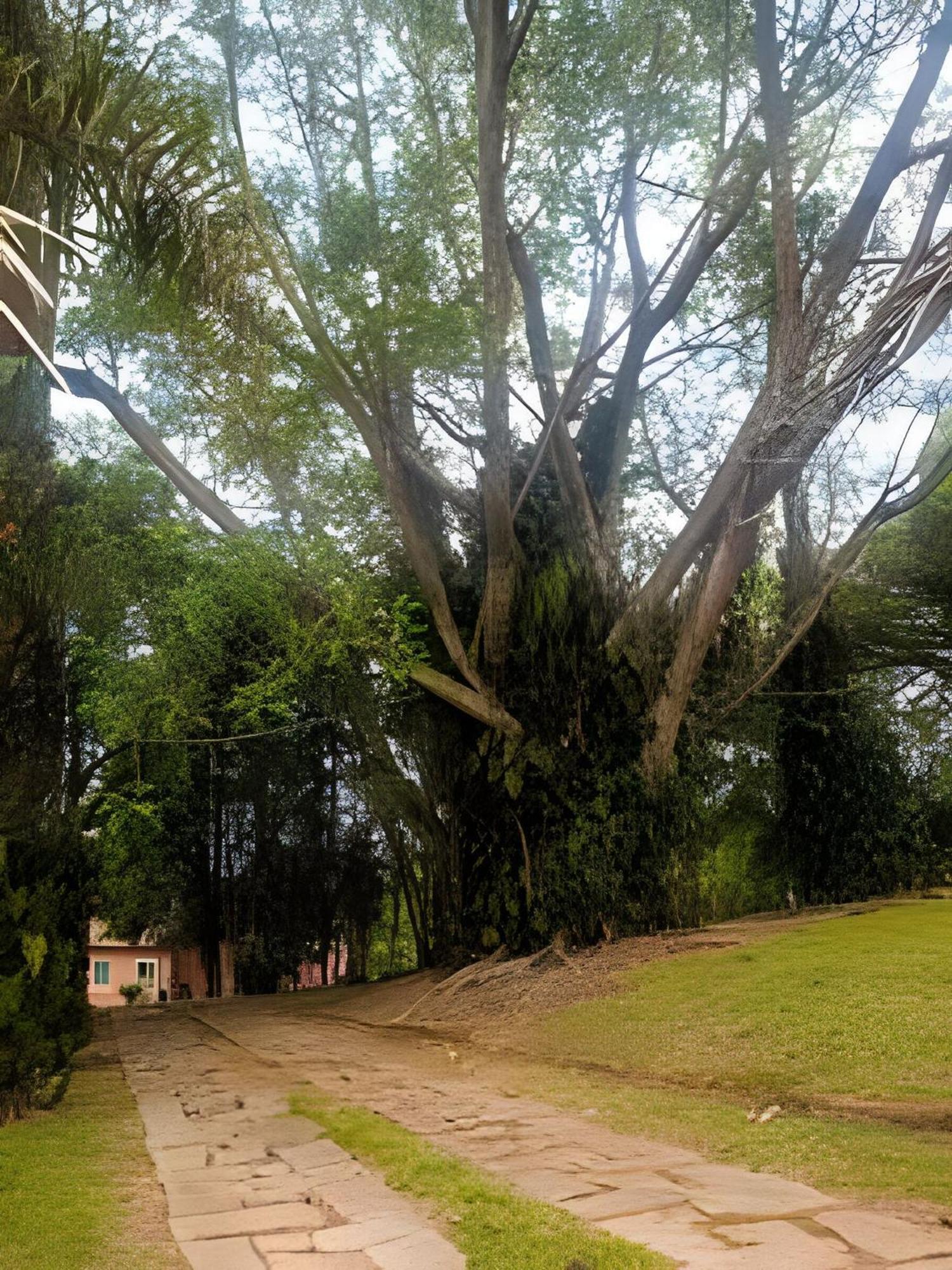 Sitio Em Sao Roque, Paraiso Ao Lado De Sao Paulo! Villa Exterior foto